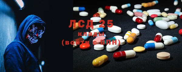 прущие грибы Покачи