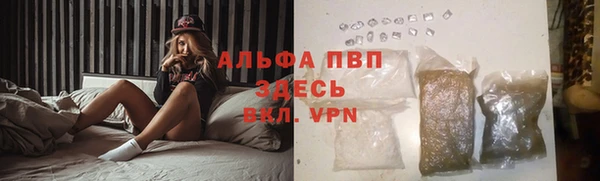 прущие грибы Покачи