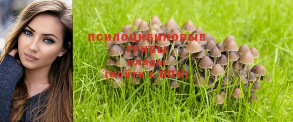 амф Покровск