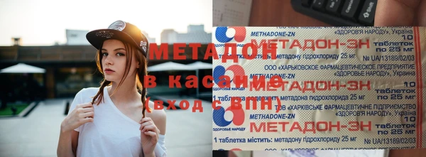 прущие грибы Покачи