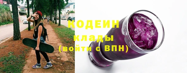 прущие грибы Покачи