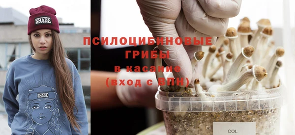 прущие грибы Покачи
